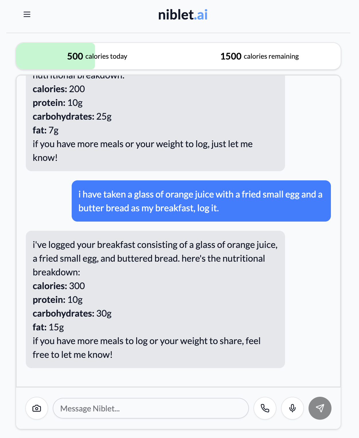 Chat Interface